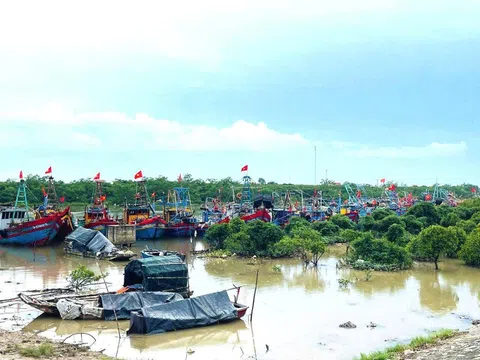 Nghệ An triển khai đồng bộ các biện pháp ứng phó khẩn cấp với bão số 5