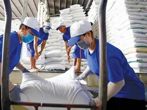 Philippines siết chặt nhập khẩu gạo, doanh nghiệp Việt cần thoát khỏi 'cái bóng' phụ thuộc