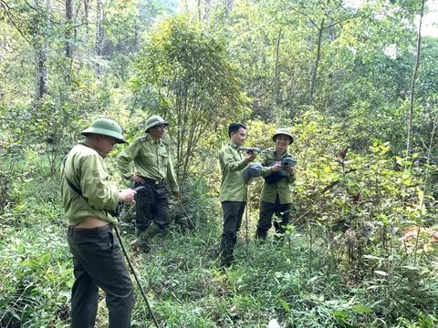 Nỗ lực bảo vệ rừng, gìn giữ màu xanh đại ngàn tại Khu bảo tồn Pù Hu