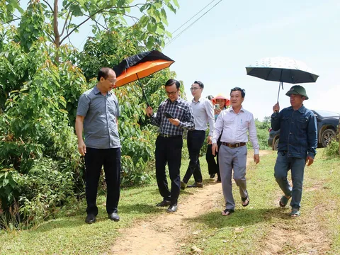 Tập đoàn TH làm việc với xã Tương Dương về dự án nuôi cá tầm lấy trứng