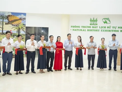 Khai trương Phòng trưng bày Lịch sử tự nhiên tại phường Phong Điền (Huế)
