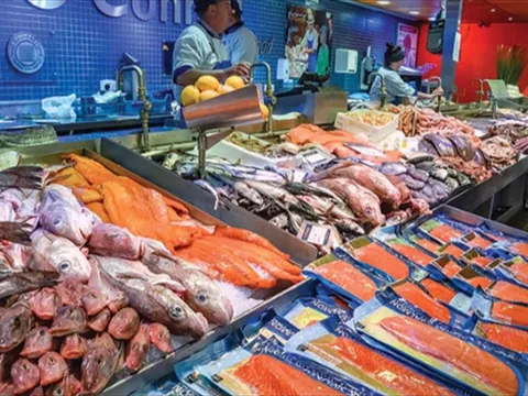 Áp lực địa chính trị đẩy ngành thủy sản toàn cầu vào khó khăn