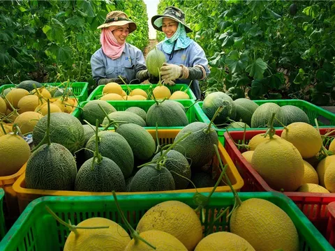 Hai nguồn vốn cốt lõi của hợp tác xã nông nghiệp
