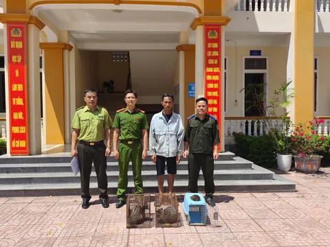 Người dân Hà Tĩnh bàn giao nhiều loài động vật quý hiếm cho Vườn Quốc gia Vũ Quang