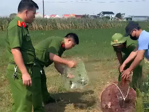 Nghệ An: Công an xã Hải Châu xử lý vi phạm săn bắt động vật hoang dã
