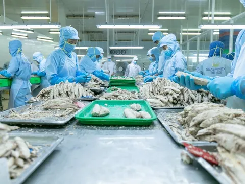 Ngành cá ngừ Việt Nam loay hoay tìm đường ở các thị trường lớn