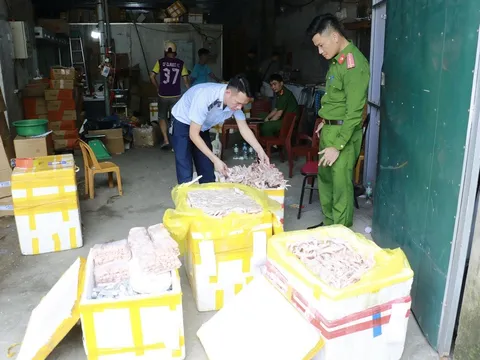 Nghệ An: Phát hiện hàng ngàn chiếc chân gà, xúc xích, nem chua đông lạnh không rõ nguồn gốc