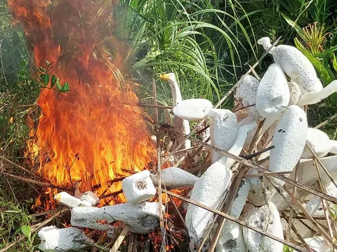 Bảo vệ môi trường sống cho những đàn chim trời mùa di cư