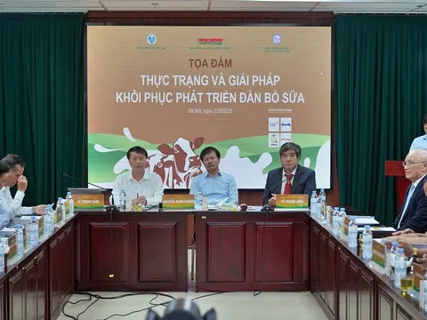 Tìm hướng đi cho ngành chăn nuôi bò sữa Việt Nam