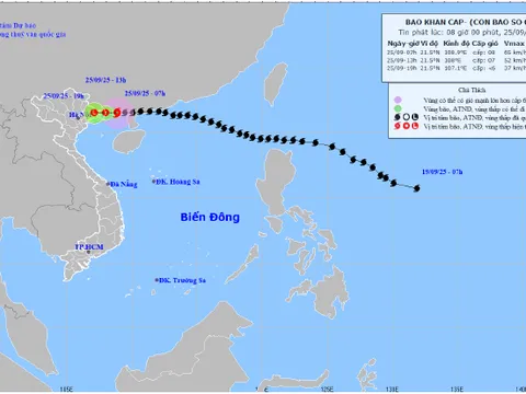 Tin bão khẩn cấp, cơn bão số 9