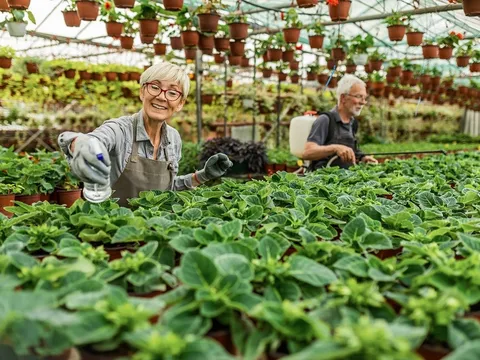Trung tâm dịch vụ nông nghiệp Mỹ vượt qua khủng hoảng như thế nào?