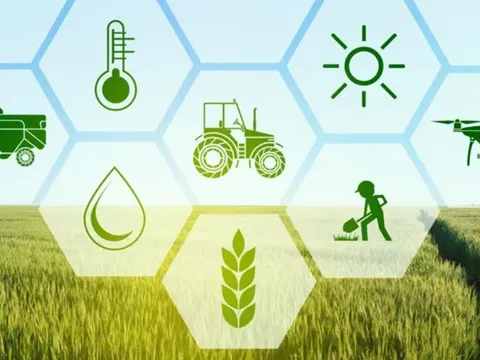 Cuộc cách mạng số tại các trung tâm dịch vụ nông nghiệp Ấn Độ