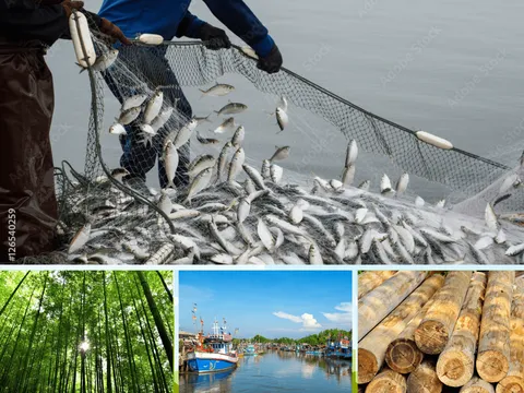 Lâm nghiệp và thủy sản quý III tăng trưởng khá