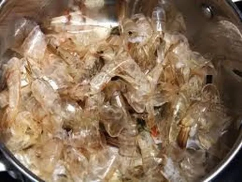 Tạo phân bón nano từ trấu và vỏ tôm bằng công nghệ chiếu xạ
