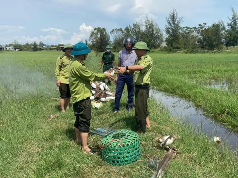 Quảng Trị: Tháo dỡ ‘ma trận’ bẫy chim mùa di cư, bảo vệ môi trường sống cho những đàn chim trời