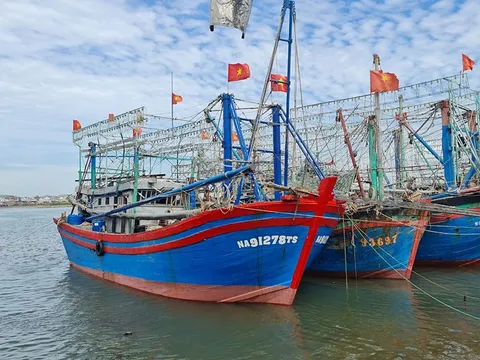 100% tàu cá của Nghệ An đã được đồng bộ dữ liệu với cơ sở dữ liệu dân cư, gắn định danh và số điện thoại chính chủ