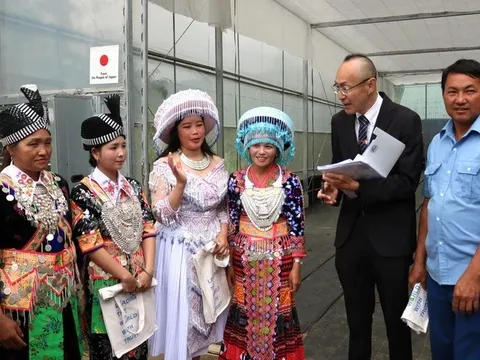 Cơ quan Hợp tác Quốc tế Nhật Bản (JICA) triển khai mô hình sản xuất nông sản đặc trưng của người Mông gắn với thương hiệu 'Tỏi trắng Nghệ An'