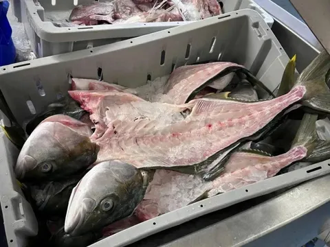 Phần Lan biến phụ phẩm đầu và xương cá thành cá ăn liền