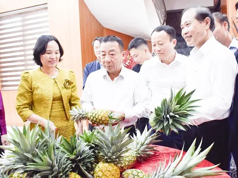Nghệ An tổng kết Đề án phát triển Hợp tác xã giai đoạn 2021 – 2025