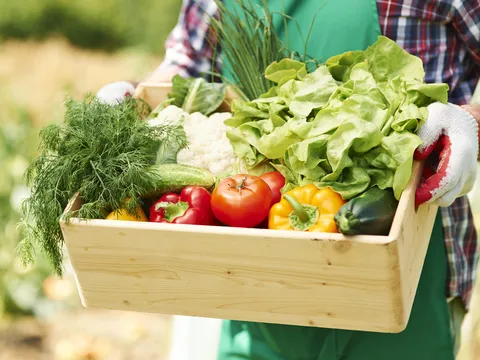 Mẹo sử dụng mạng xã hội để tiếp thị thương hiệu nông sản hiệu quả nhất