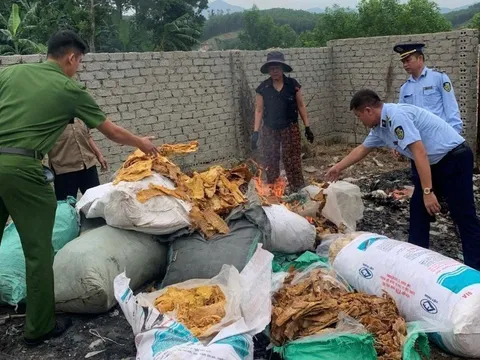 Nghệ An tiêu hủy 150 kg măng khô không rõ nguồn gốc