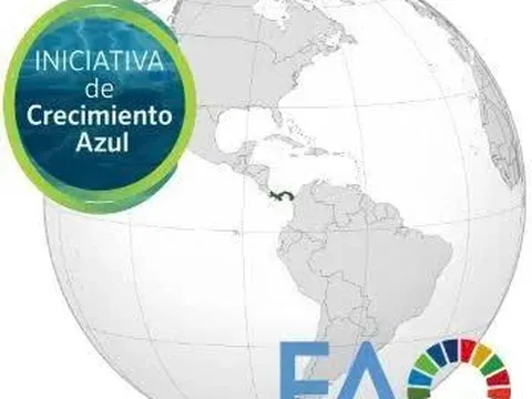 Chuyển đổi xanh của FAO: Nghề cá có trách nhiệm và an ninh lương thực ở Mỹ Latinh