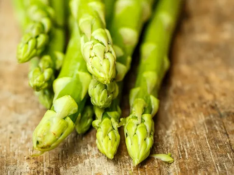 Robot thu hoạch măng tây AVL Compact S9: Chất lượng tương đương, tốc độ vượt trội