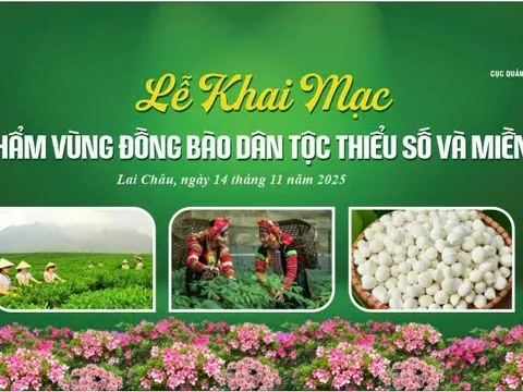 Lai Châu: Rộn ràng Ngày hội sản phẩm vùng đồng bào DTTS và miền núi phía Bắc