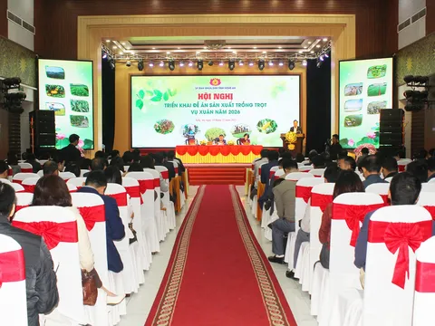 Nghệ An phấn đấu đạt 708.850 tấn lương thực trong vụ Xuân năm 2026