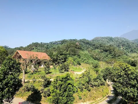 Làng Gạo - bản hòa ca xanh của nông nghiệp tử tế và sự trở về với thiên nhiên