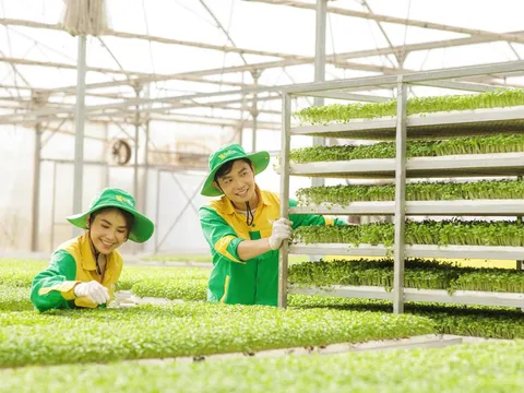 TP.HCM sẽ xây dựng chiến lược phát triển nông nghiệp đô thị có tính chất dài hạn