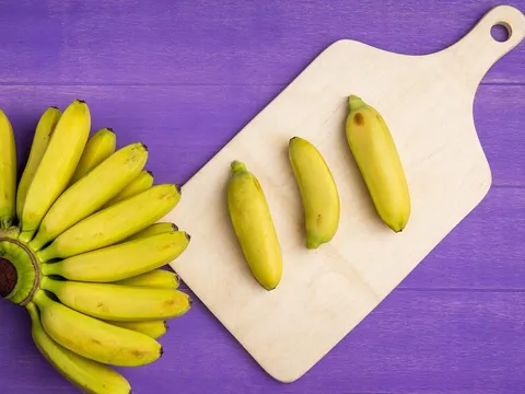 Giống chuối lai mới được đưa vào thử nghiệm có khả năng kháng bệnh TR4