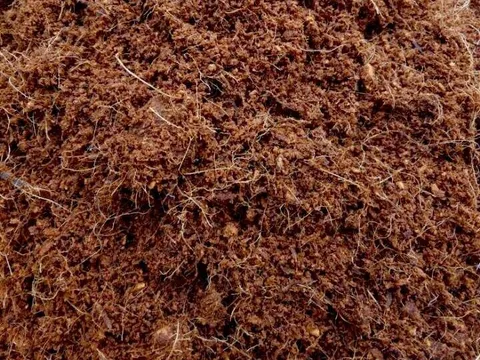 Loại bỏ than bùn khỏi giá thể: Xu hướng của nông nghiệp hiện đại