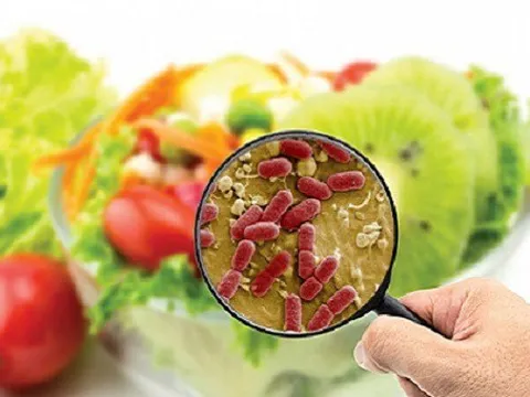 Thực trạng an toàn vệ sinh thực phẩm tại Việt Nam và một số giải pháp kiến nghị