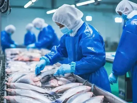 Sản lượng hải sản toàn cầu đang tiến tới 200 triệu tấn