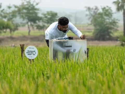 Mitti Labs: Công nghệ kiểm soát phát thải metan từ ruộng lúa