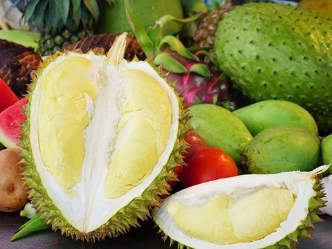 Khát vọng vươn xa của nông sản Việt: Hành trình mang tên tiêu chuẩn