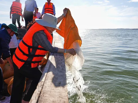 Tây Ninh: Thả 65.000 con cá giống nhằm tái tạo nguồn lợi thủy sản hồ Dầu Tiếng