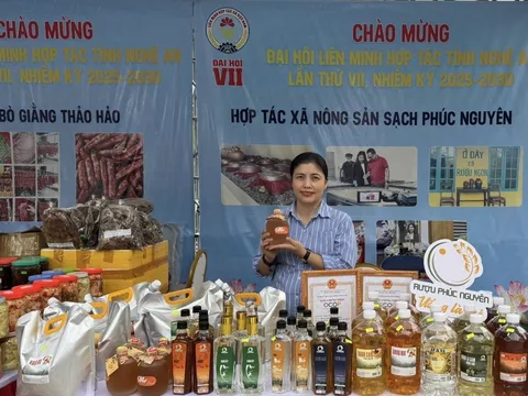 Nghệ An: Khai mạc Hội chợ Xanh khu vực kinh tế tập thể, hợp tác xã, làng nghề năm 2025