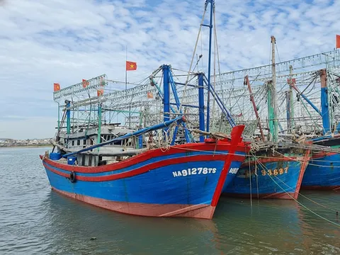 Nghệ An hoàn thành 19/19 nhiệm vụ trọng tâm gỡ cảnh báo “Thẻ vàng” của EC