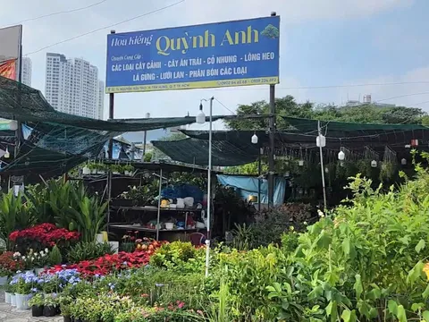 Phường Tân Hưng (TP.HCM): Chấn chỉnh vi phạm xây dựng trên đất nông nghiệp