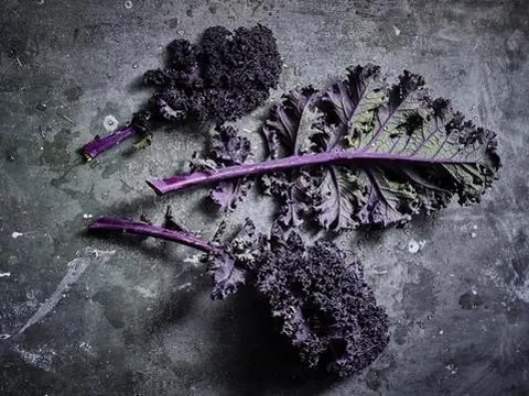 AH Worth đưa giống cải xoăn đỏ tía vào thực đơn cao cấp của người tiêu dùng