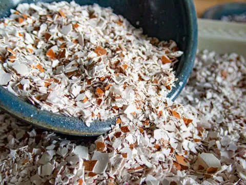 Ảnh hưởng của bột vỏ trứng và phân lân đến sinh trưởng và năng suất của giống lạc MD7 trong vụ xuân tại Phú Xuyên, Hà Nội