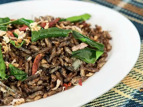 Rào cản văn hóa và tương lai của thực phẩm từ côn trùng