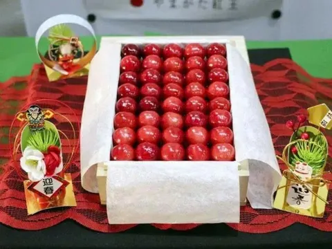 Tại sao anh đào Nhật Bản có giá hàng nghìn USD?