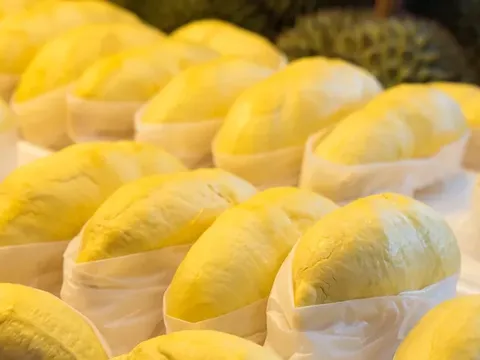 Dự báo sản lượng sầu riêng Thái Lan năm 2026 vượt 1,78 triệu tấn: Đối mặt nguy cơ giá chạm đáy trong gần 6 năm