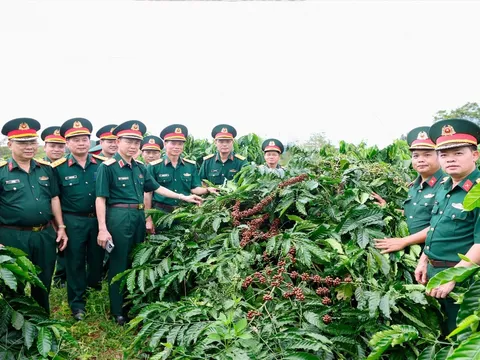 Binh đoàn 16 phát triển nông nghiệp gắn với đảm bảo quốc phòng và an sinh xã hội