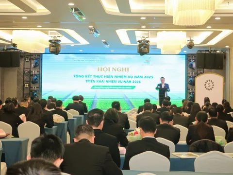 ThaiBinh Seed tiếp tục khẳng định vai trò trụ cột trong ngành giống cây trồng