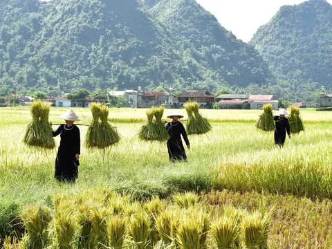 Khởi động tìm kiếm 8 'Làng du lịch tốt nhất' đại diện Việt Nam tranh giải quốc tế 2026