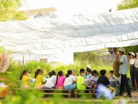Chiến lược 'nhỏ mà chất' tại Happy Farm: Khi một mảnh vườn thay đổi cục diện kinh tế trang trại